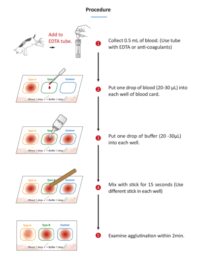 Bioguard - Feline Blood Typing Kit - Vyom Veterinary Medicines Llc